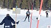 P1070875_resultat.jpg P1070875_resultat.jpg