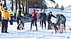 P1070982_resultat.jpg P1070982_resultat.jpg