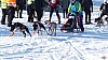 P1070984_resultat.jpg P1070984_resultat.jpg