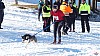 P1070987_resultat.jpg P1070987_resultat.jpg