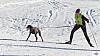 P1070990_resultat.jpg P1070990_resultat.jpg