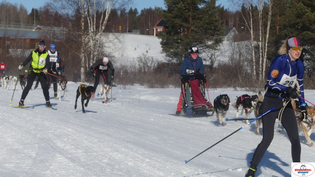 P1080051_resultat.jpg