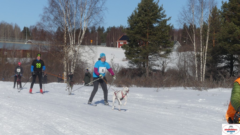 P1080056_resultat.jpg