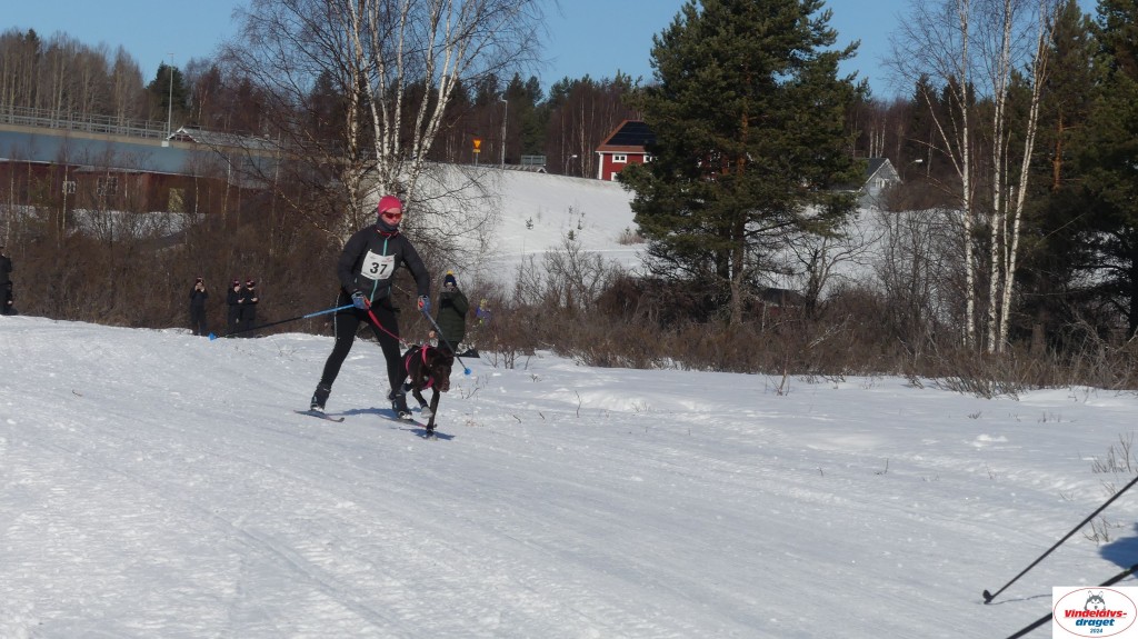 P1080058_resultat.jpg