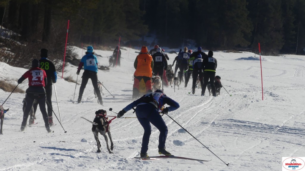 P1080062_resultat.jpg