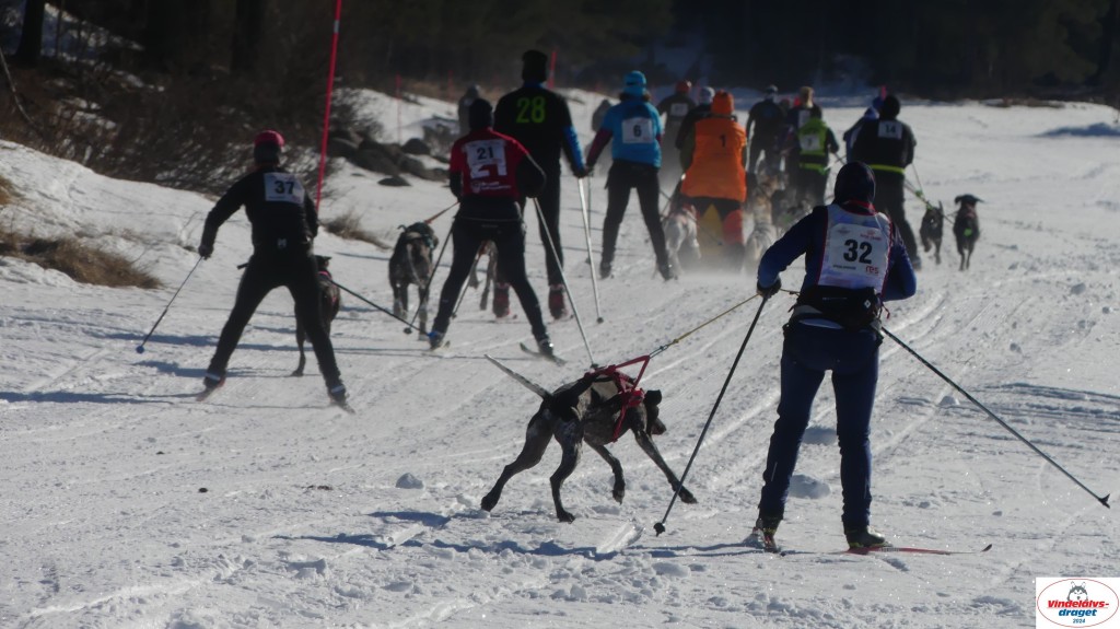 P1080063_resultat.jpg