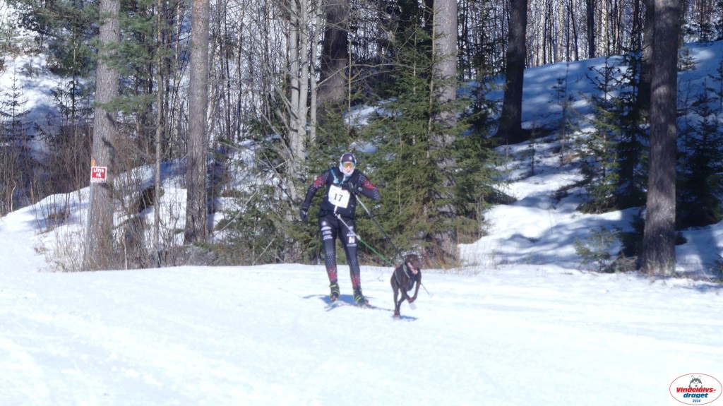 P1080090_resultat.jpg