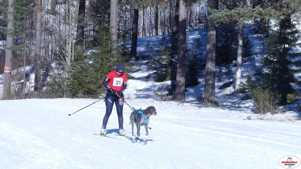 P1080104_resultat.jpg