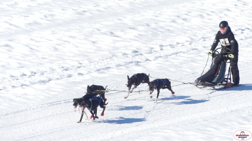 P1080111_resultat.jpg