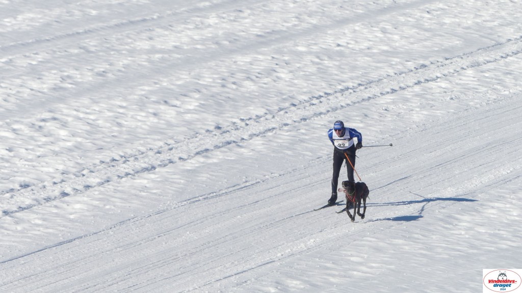 P1080117_resultat.jpg
