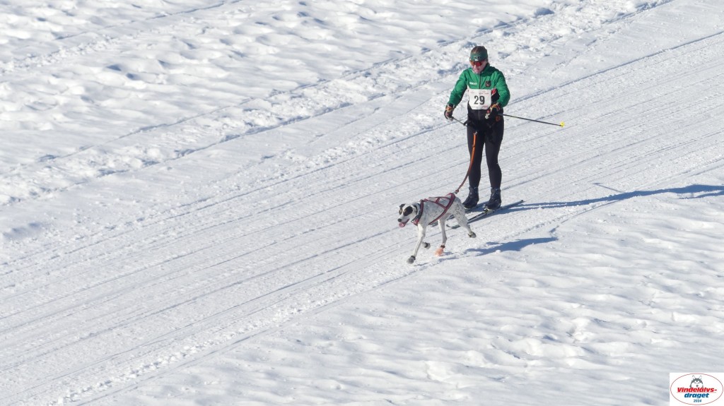 P1080121_resultat.jpg