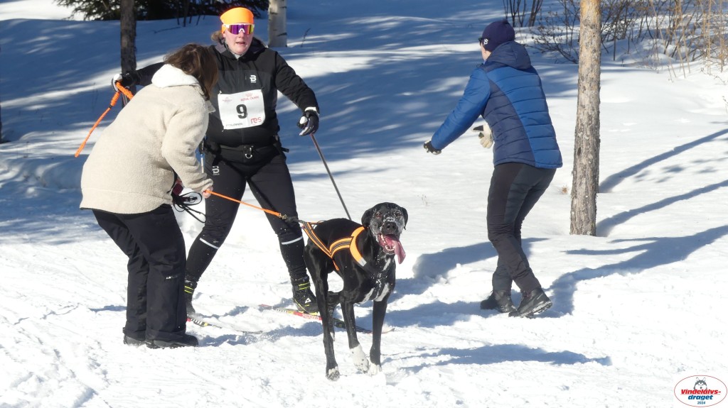 P1080132_resultat.jpg