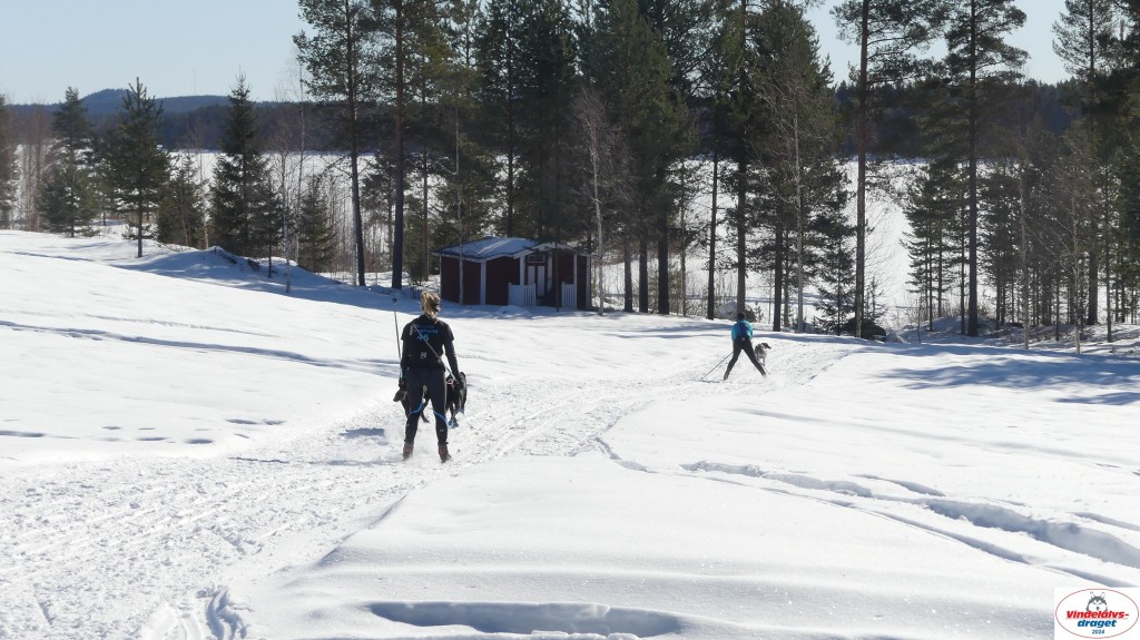 P1080134_resultat.jpg