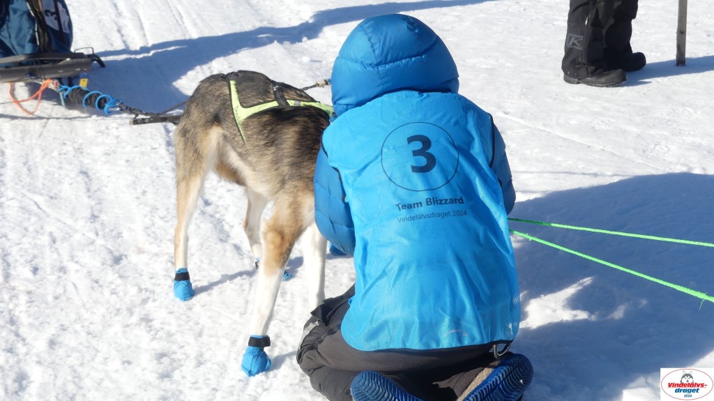 P1080162_resultat.jpg