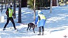 P1080151_resultat.jpg P1080151_resultat.jpg