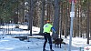 P1080176_resultat.jpg P1080176_resultat.jpg