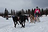 Vindelalvsdraget day 1 - 19.jpg