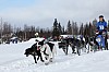 Vindelalvsdraget day 1 - 20.jpg