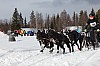 Vindelalvsdraget day 1 - 24.jpg
