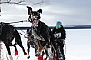 Vindelalvsdraget day 1 - 37.jpg