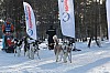 Vindelalvsdraget day 1 - 52.jpg