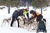 Vindelalvsdraget day 1 - 53.jpg