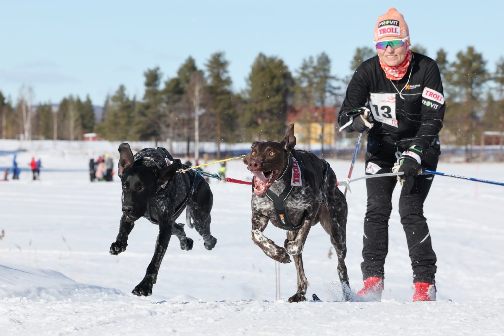 Vindelalvsdraget - day 2- 25.jpg