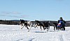Vindelalvsdraget - day 2- 16.jpg
