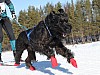Vindelalvsdraget - day 2- 28.jpg