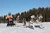 Vindelalvsdraget - day 2- 30.jpg