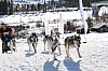 Vindelalvsdraget - day 2- 46.jpg