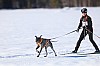 Vindelalvsdraget - day 2- 64.jpg