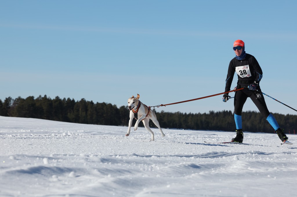 Vindelalvsdraget - day 3 - 13.jpg
