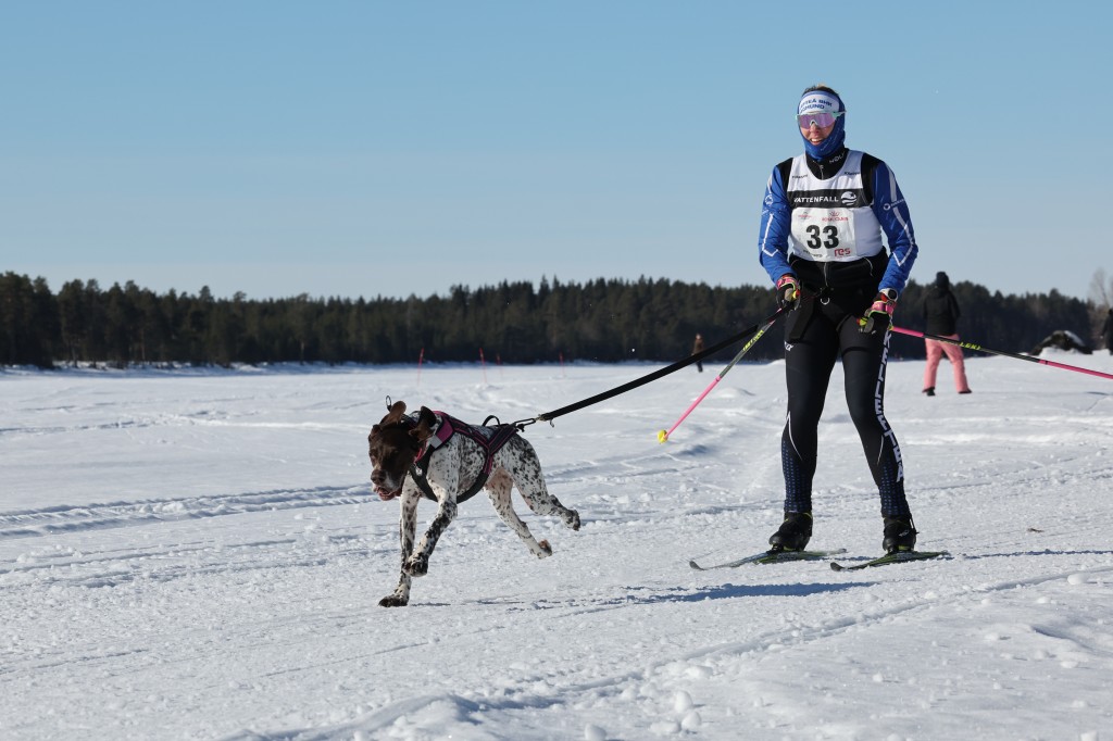 Vindelalvsdraget - day 3 - 17.jpg