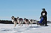 Vindelalvsdraget - day 3 - 12.jpg