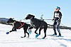 Vindelalvsdraget - day 3 - 16.jpg