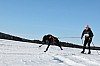 Vindelalvsdraget - day 3 - 19.jpg