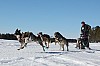Vindelalvsdraget - day 3 - 26.jpg
