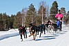 Vindelalvsdraget - day 3 - 32a.jpg