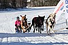 Vindelalvsdraget - day 3 - 39.jpg