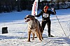 Vindelalvsdraget - day 3 - 73.jpg