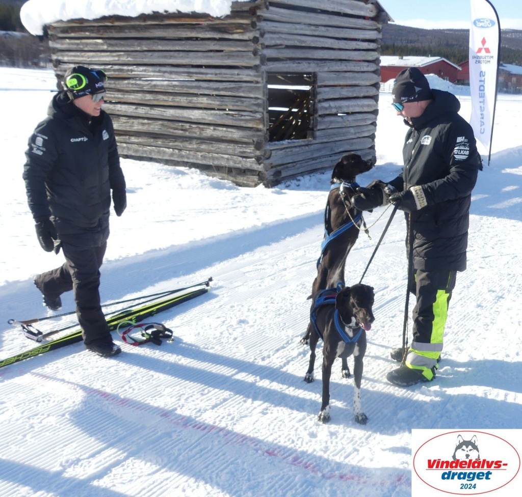 P1080783_cr_resultat.jpg