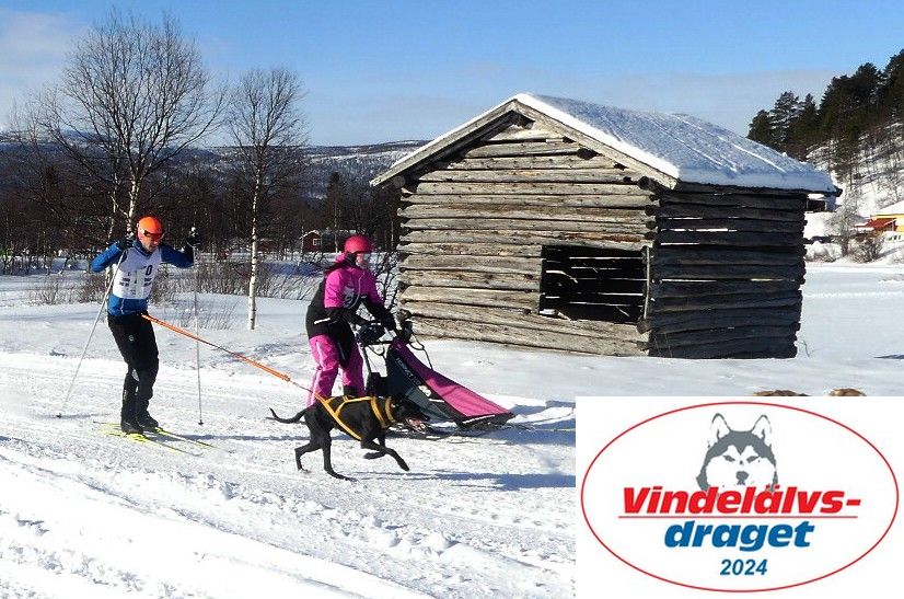 P1080793a_cr_resultat.jpg