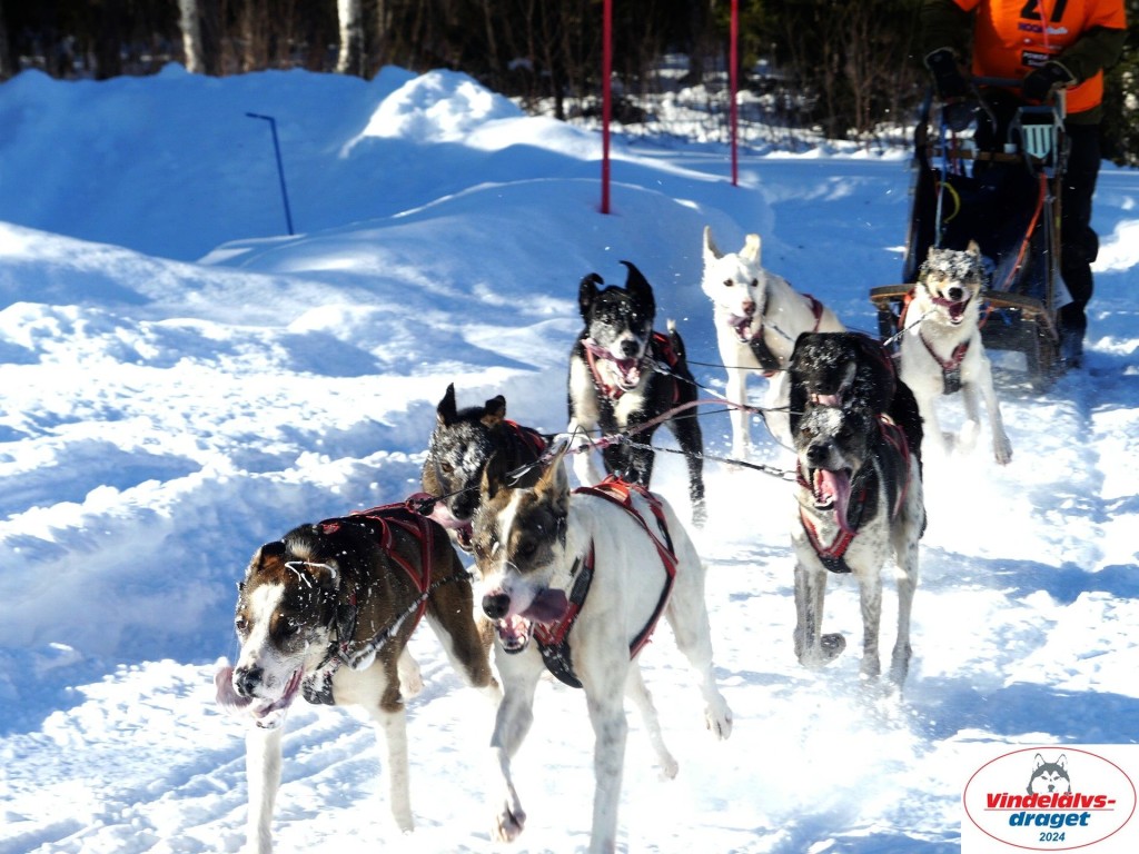 P1080803_resultat.jpg
