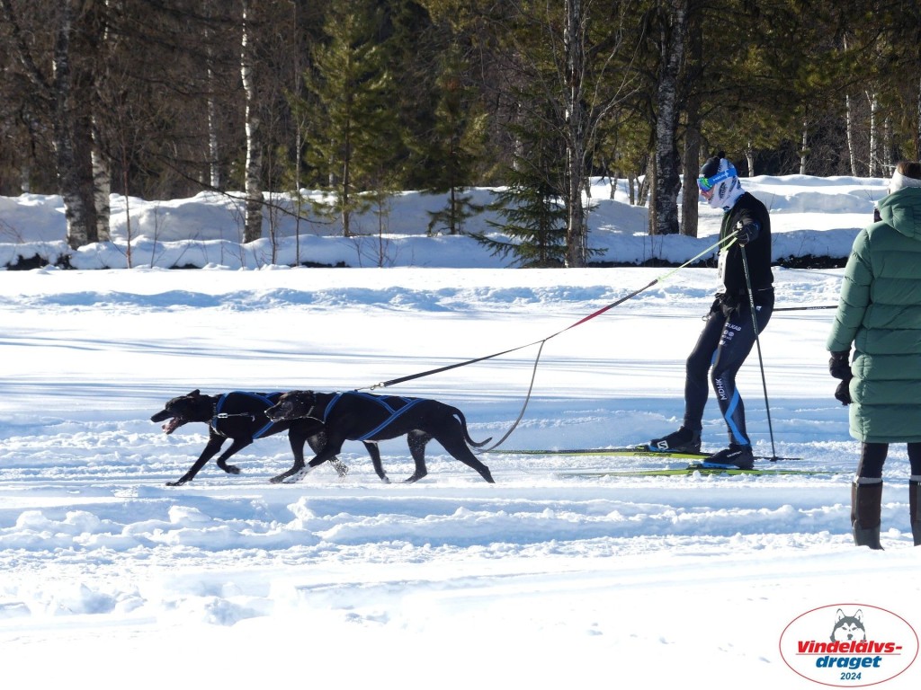 P1080805_resultat.jpg