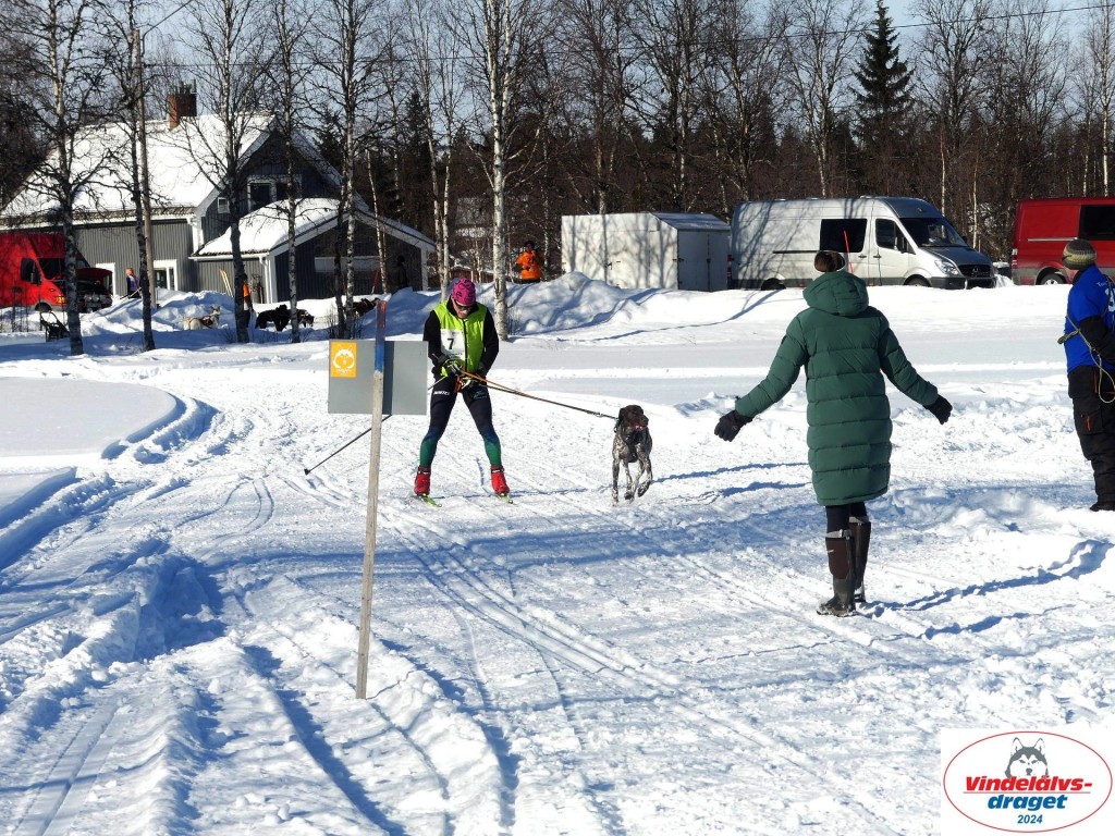 P1080807_resultat.jpg