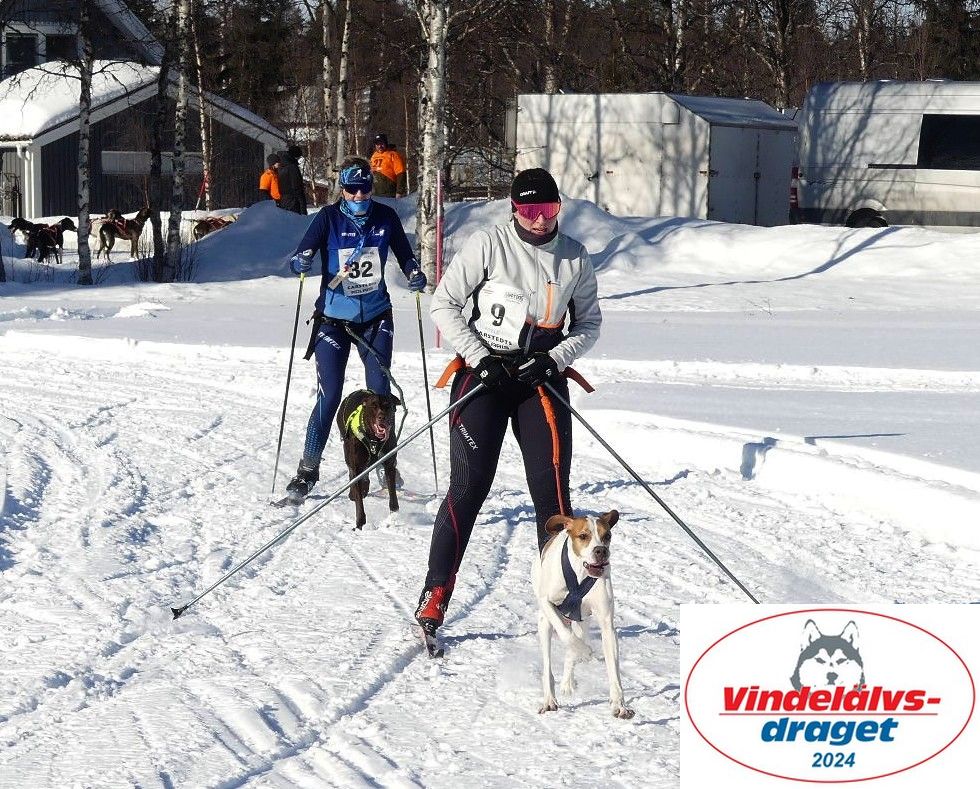 P1080814_cr_resultat.jpg