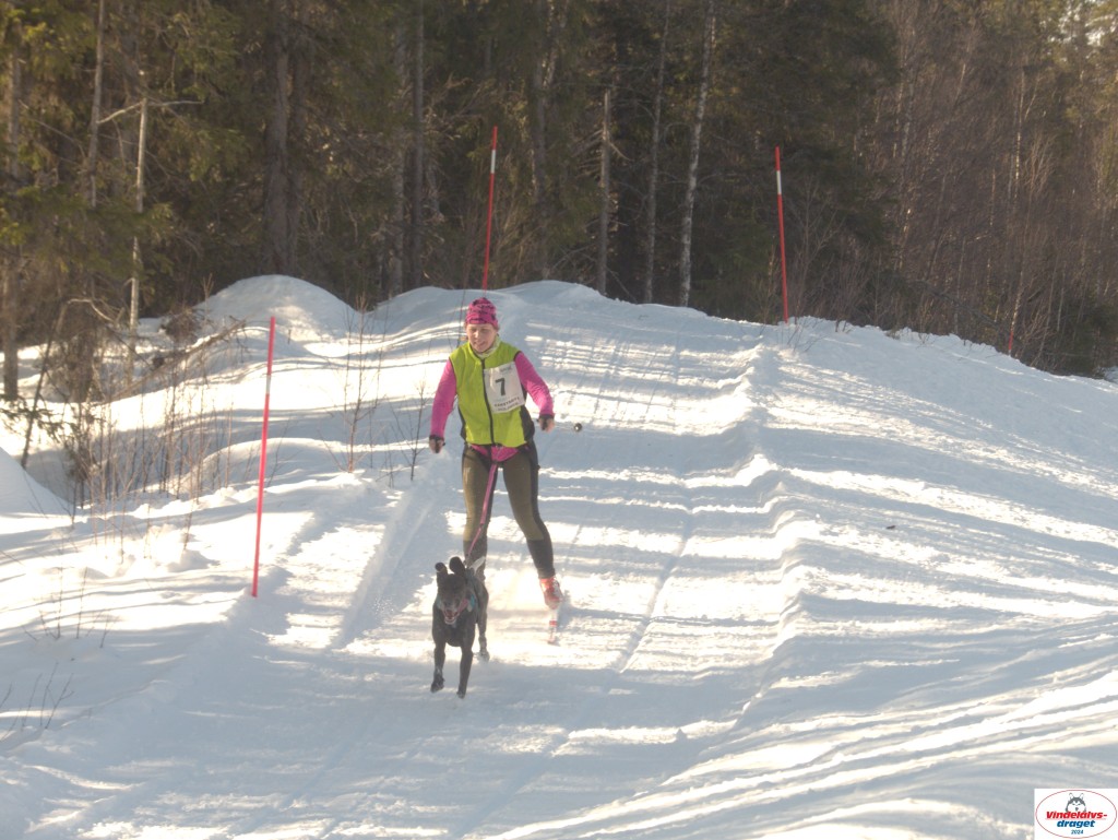 P1080820_resultat.jpg