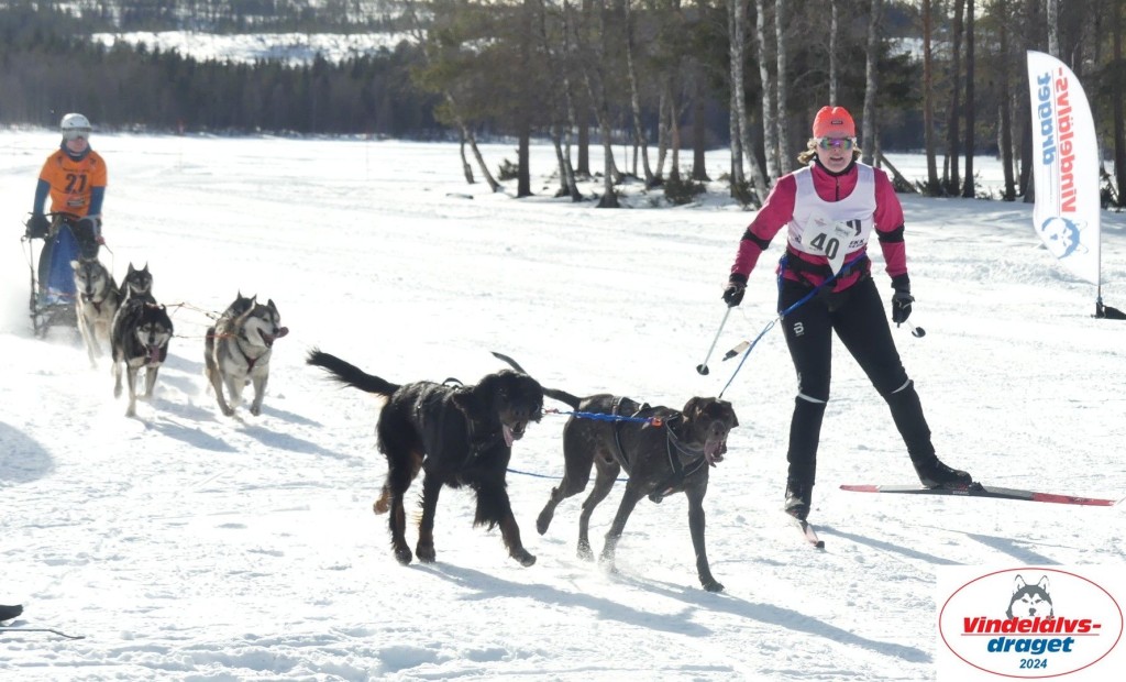 P1080870_cr_resultat.jpg