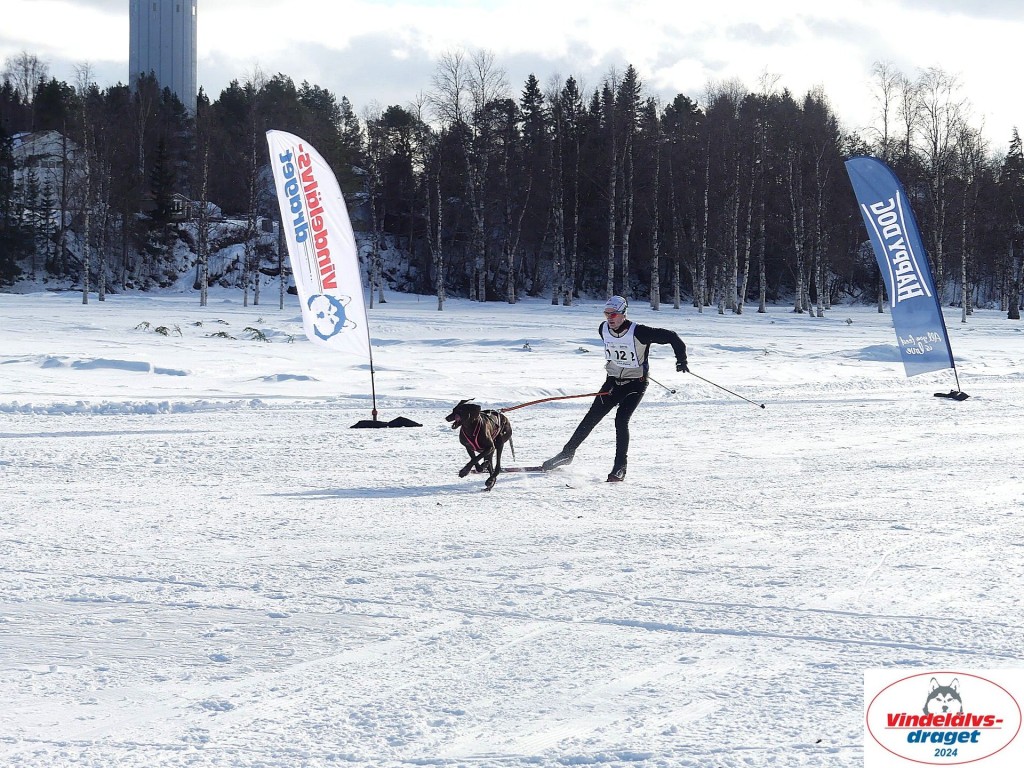 P1080879_resultat.jpg